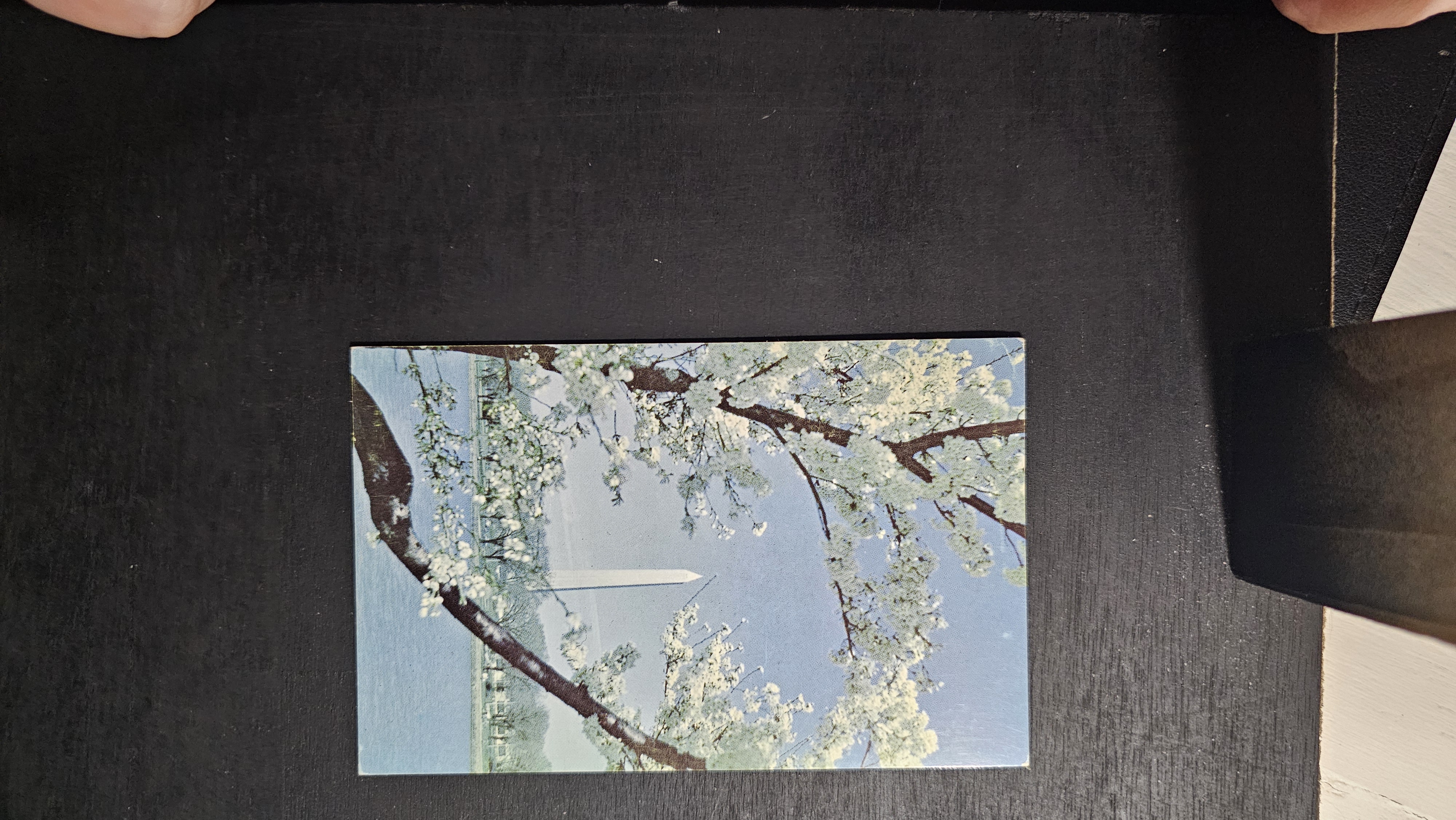 (image for) postcard USA - DC - District of Columbia #0021